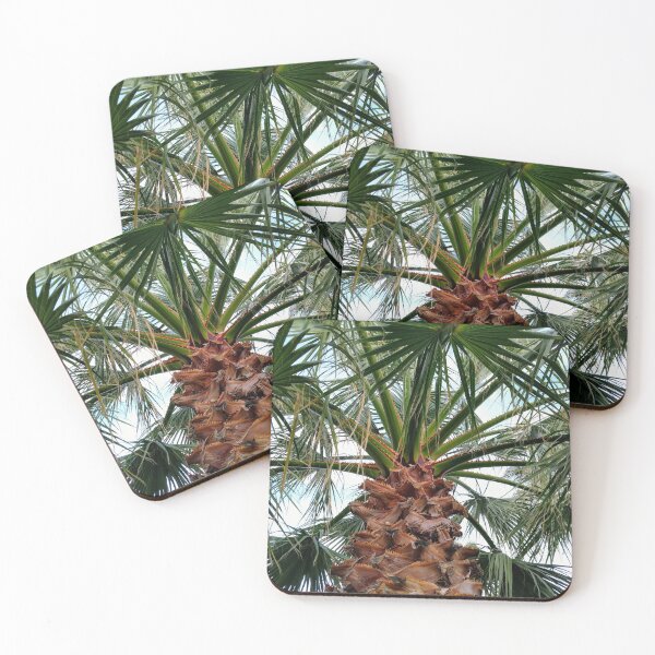 Item preview, Palm Tree Leaves Photo designed and sold by PatientCitizen.