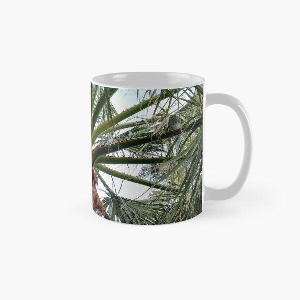 Item preview, Palm Tree Leaves Photo designed and sold by PatientCitizen.