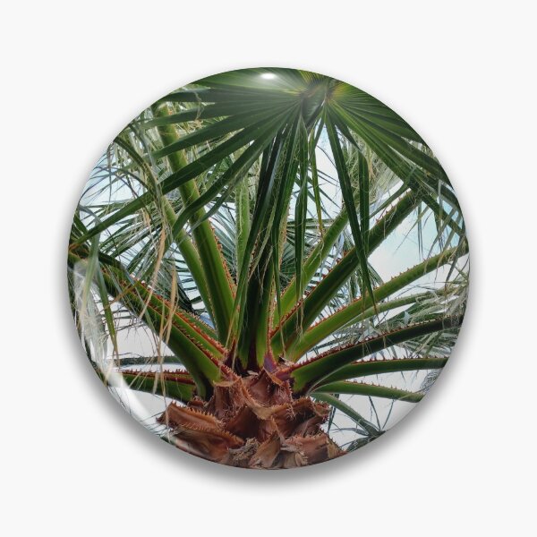 Item preview, Palm Tree Leaves Photo designed and sold by PatientCitizen.