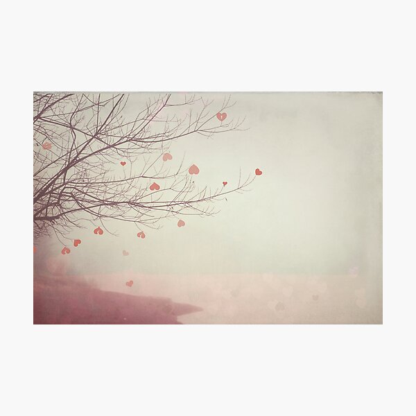 My Valentine Photographic Print