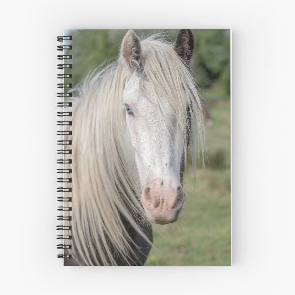 Item preview, Gypsy horse designed and sold by AWLPIX.