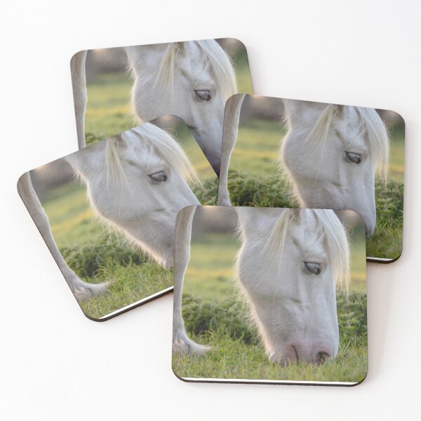 Old blue eyes Coasters (Set of 4)