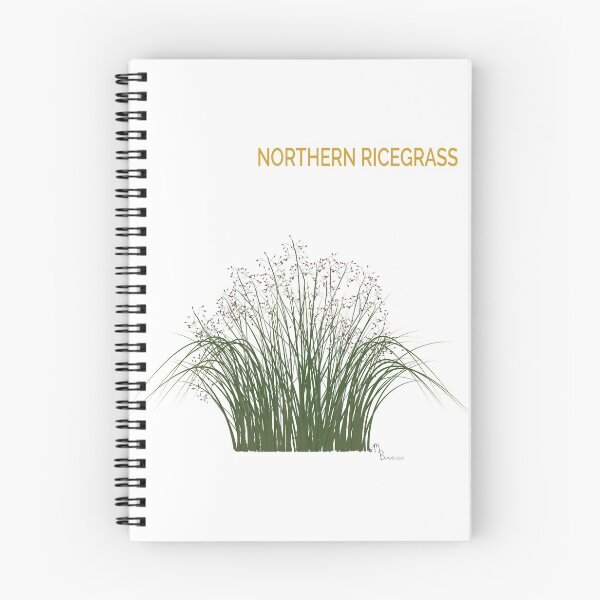 Item preview, Northern Ricegrass designed and sold by YouAreHereArt.
