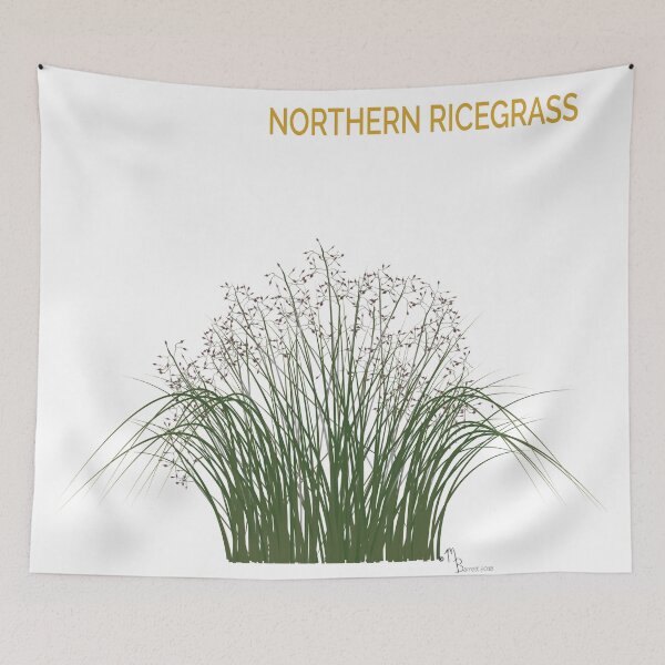 Item preview, Northern Ricegrass designed and sold by YouAreHereArt.