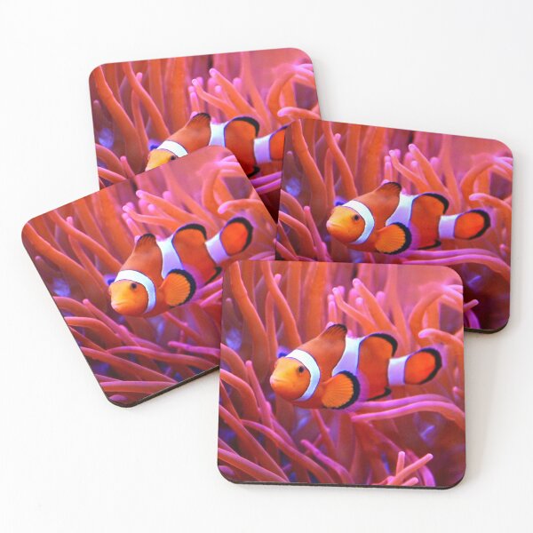 Item preview, Clown Fish designed and sold by sunshine64.