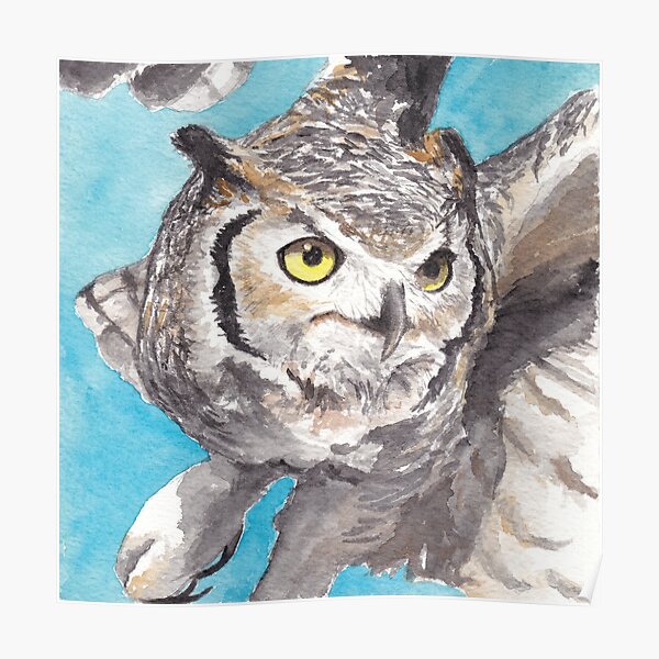 Great Horned Owl, Sonoran Desert Poster