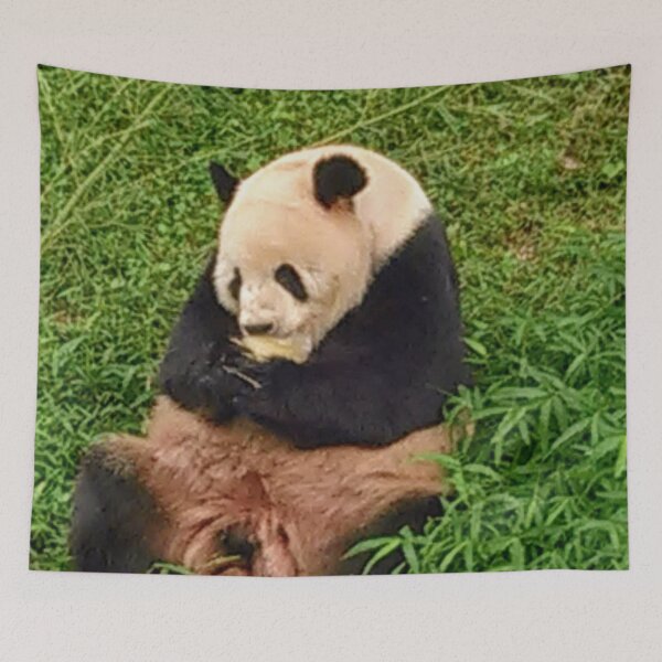 Item preview, Tian Tian The Giant Panda designed and sold by Gordon Nelson.