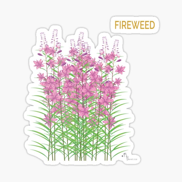 Fireweed Sticker