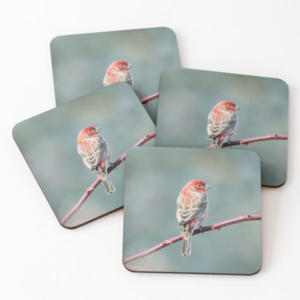 Item preview, House finch designed and sold by Jesse Barnett.