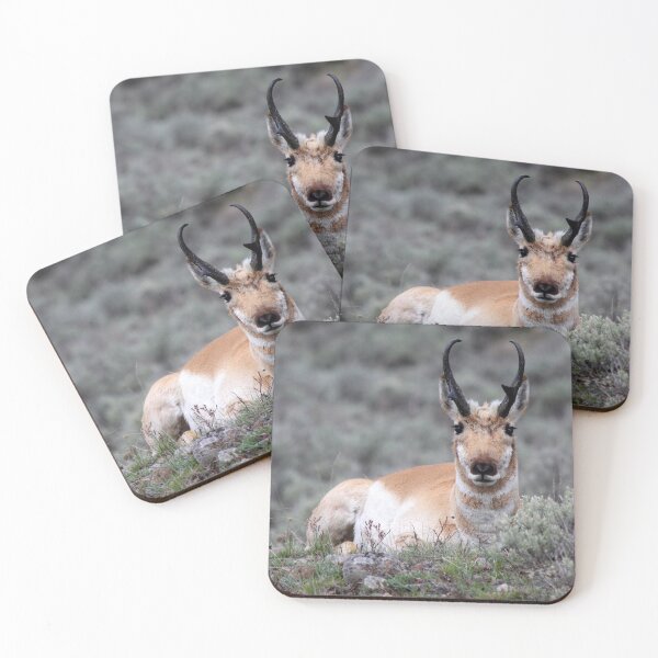 Item preview, Pronghorn designed and sold by Classy And Keratin by Zookeeper Hannah.