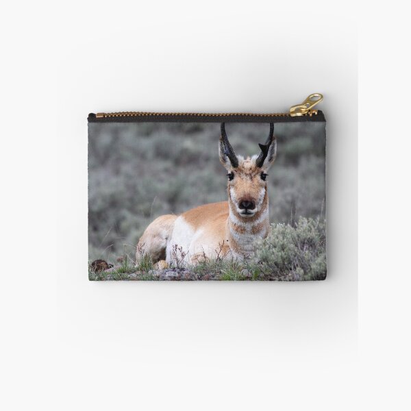 Item preview, Pronghorn designed and sold by Classy And Keratin by Zookeeper Hannah.