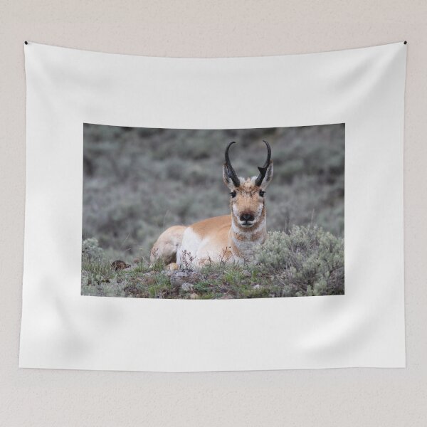Item preview, Pronghorn designed and sold by Classy And Keratin by Zookeeper Hannah.