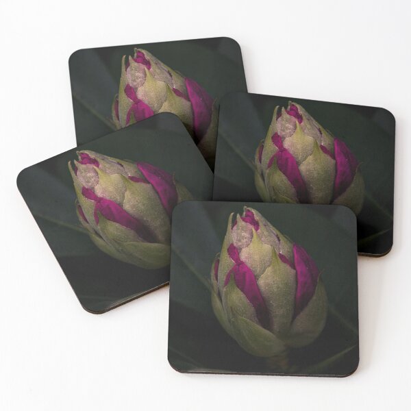 Item preview, Rhododendron Blossom designed and sold by c-zphotos.