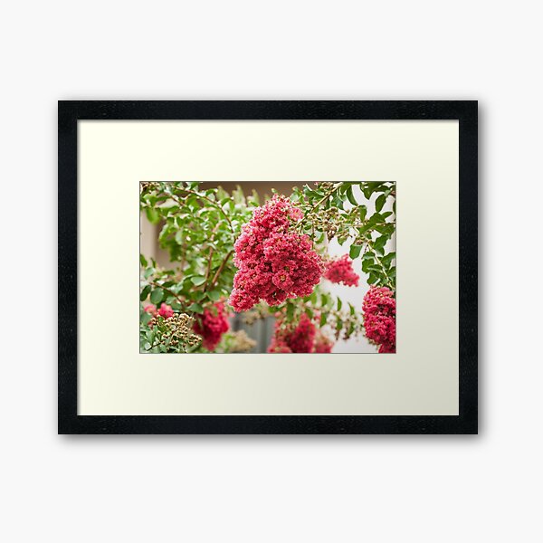 Item preview, Pink Crepe Myrtle designed and sold by LizFingland.