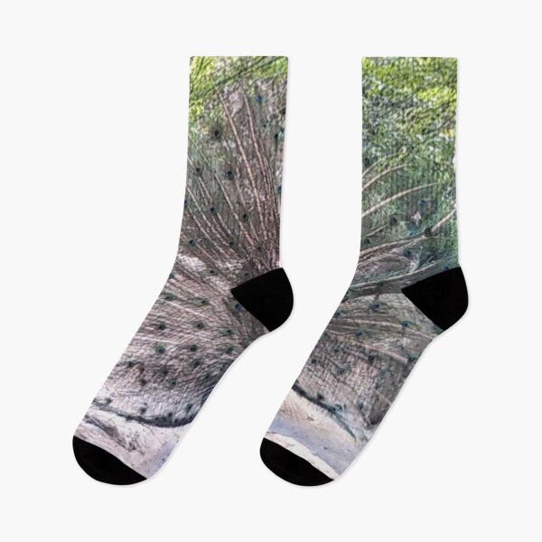 Item preview, Peacock - Royal Peafowl designed and sold by Gordon Nelson.