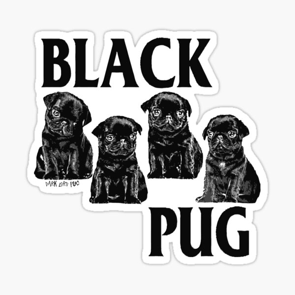 black pug Sticker