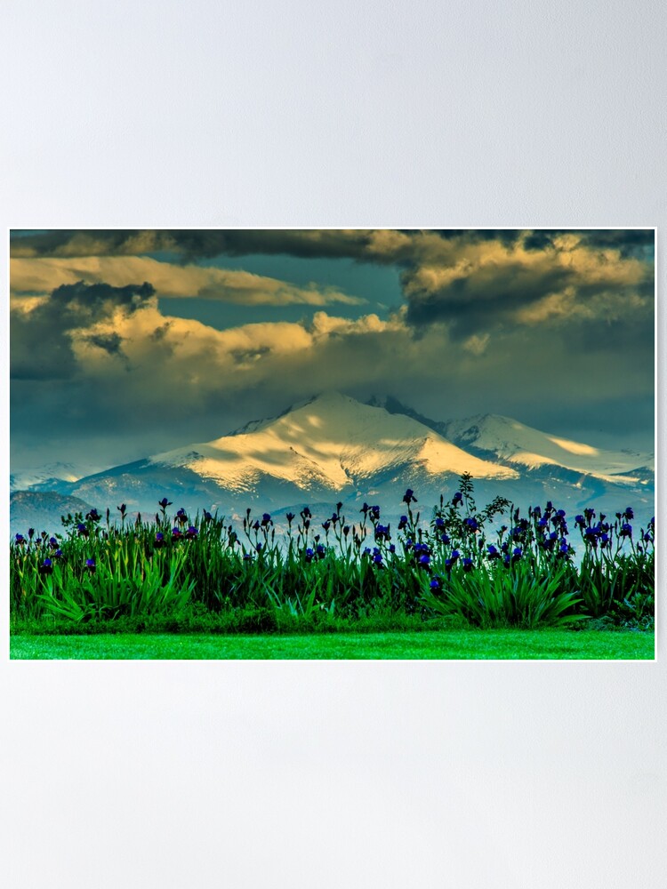 Alternate view of Summer Promises Return - Iris Sunrise Poster