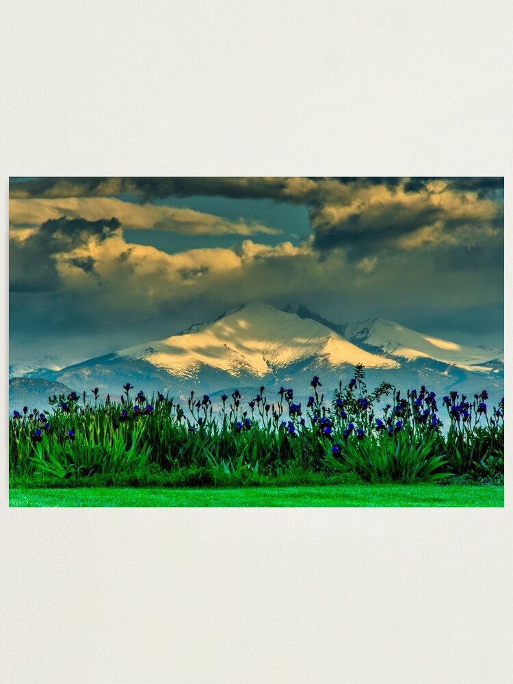 Alternate view of Summer Promises Return - Iris Sunrise Photographic Print