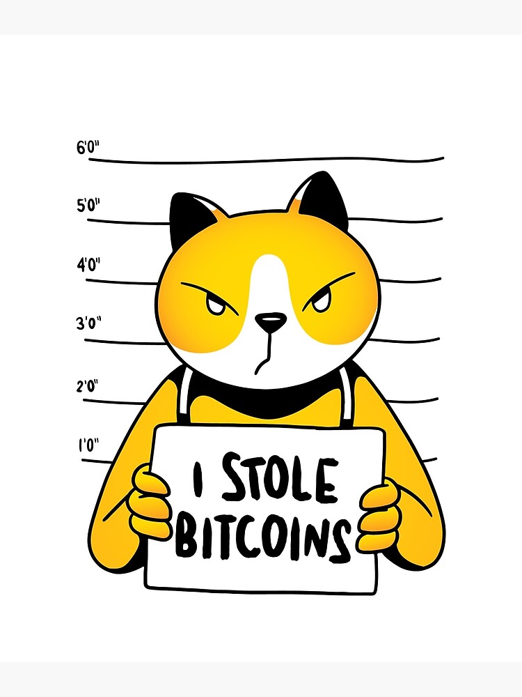 i stole bitcoins cat