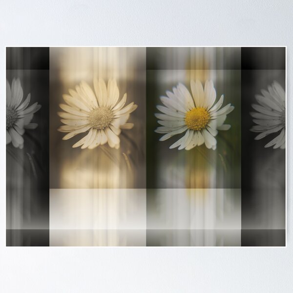 Item preview, For Patrizia, Maria and Isilda! designed and sold by Stefan Kierek.