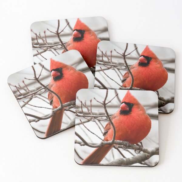 Item preview, Resting cardinal designed and sold by Jesse Barnett.