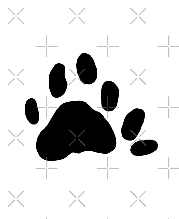 Polydactyl cat hot sale paw print