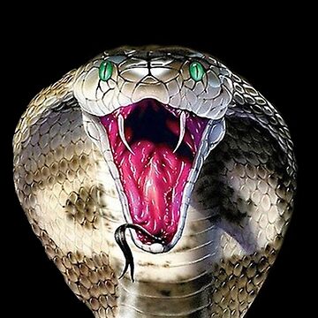 Serpent snake cobra viper fantasy fanged