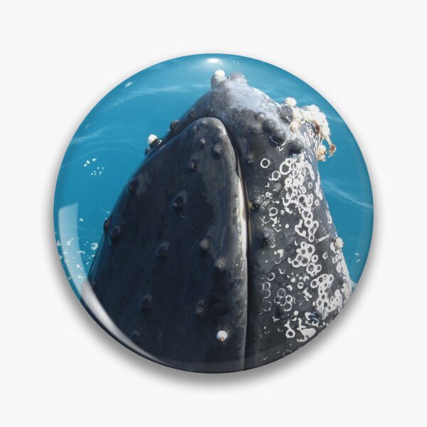 Item preview, Whale Watching designed and sold by Finkie.