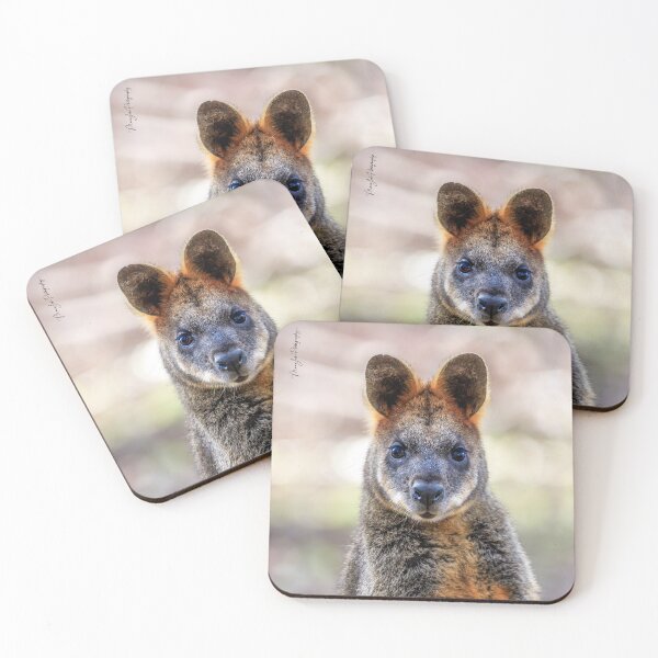 Item preview, Swamp Wallaby designed and sold by Luke Foster.