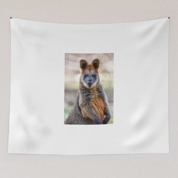 Item preview, Swamp Wallaby designed and sold by Luke Foster.