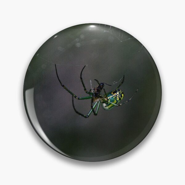 Item preview, Woodland Spider designed and sold by c-zphotos.