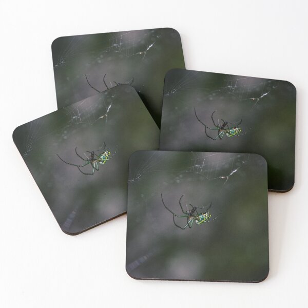 Item preview, Woodland Spider designed and sold by c-zphotos.