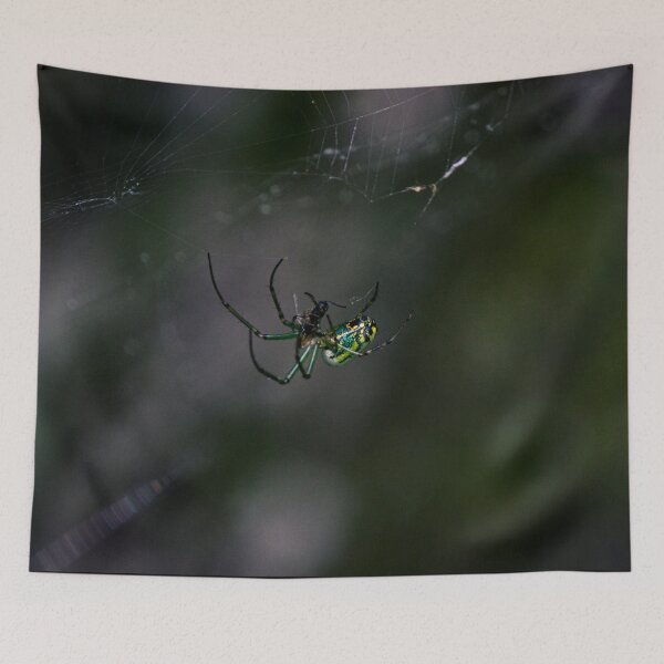 Item preview, Woodland Spider designed and sold by c-zphotos.