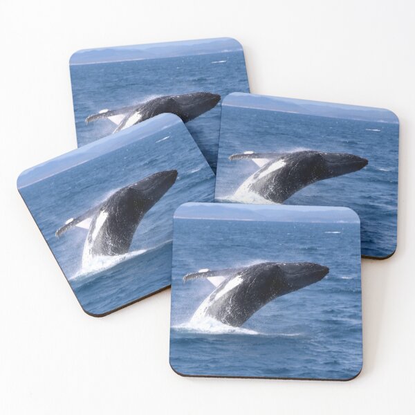Item preview, A Whale Flip designed and sold by Finkie.