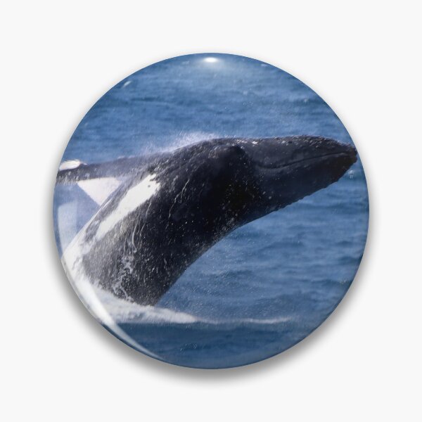 Item preview, A Whale Flip designed and sold by Finkie.