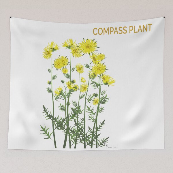 Item preview, Compass Plant designed and sold by YouAreHereArt.