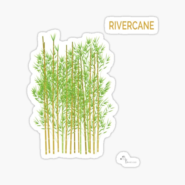 Rivercane Sticker