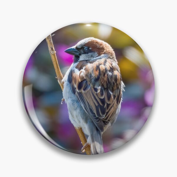 Item preview, American Tree Sparrow designed and sold by Jesse Barnett.