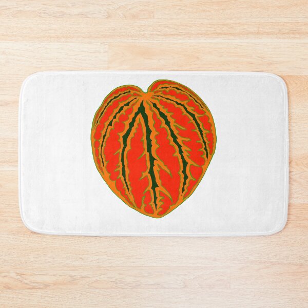 Item preview, Peperomia Albovittata Piccolo Banda Dark Orange designed and sold by shtem.