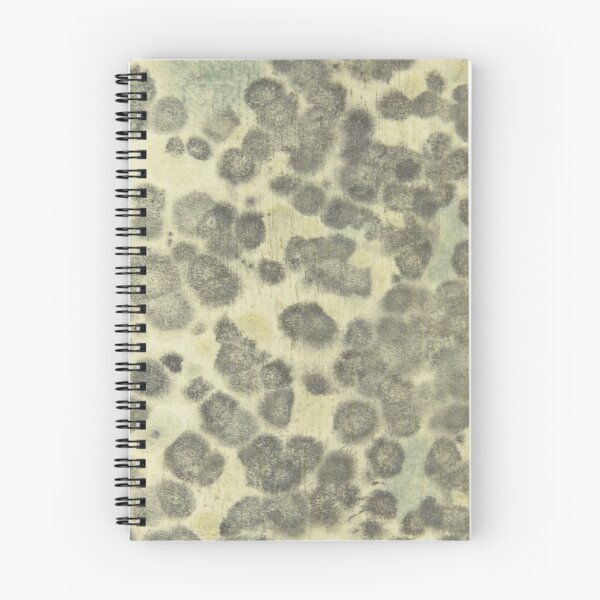 Item preview, Mouldy wall designed and sold by chantelle bezant.