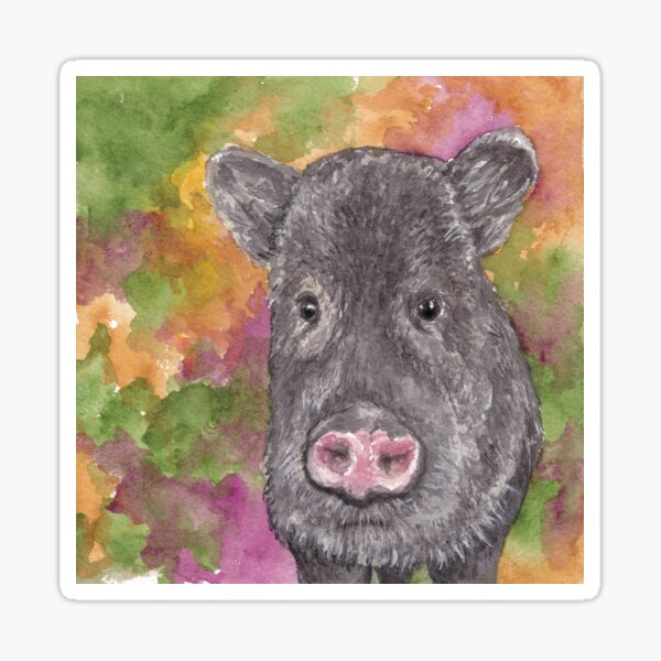 Javelina, Sonoran Desert Sticker