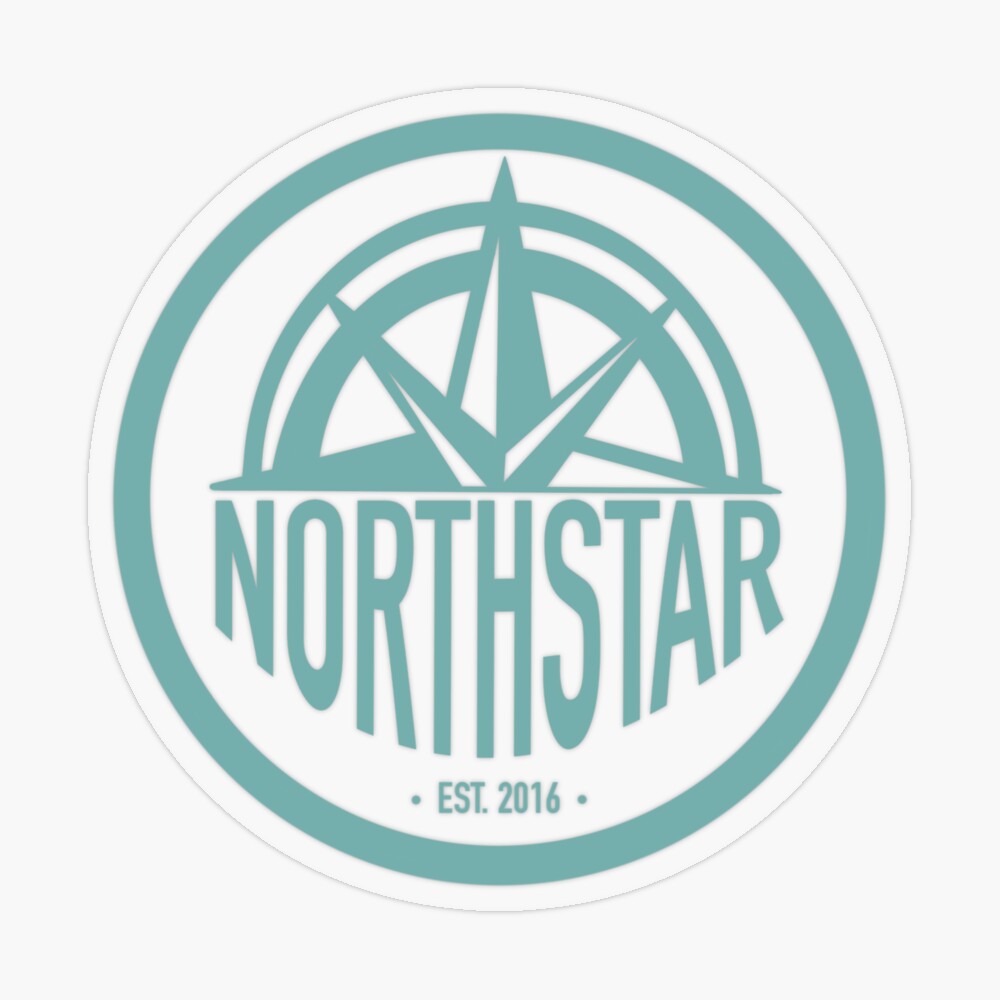 North Star Compass Logo, Compass Icon, Modern Star Symbol 25750706 Vector  Art at Vecteezy