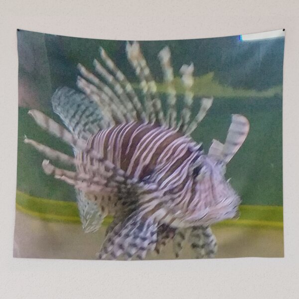 Item preview, Lionfish - Calvert Marine Museum designed and sold by Gordon Nelson.