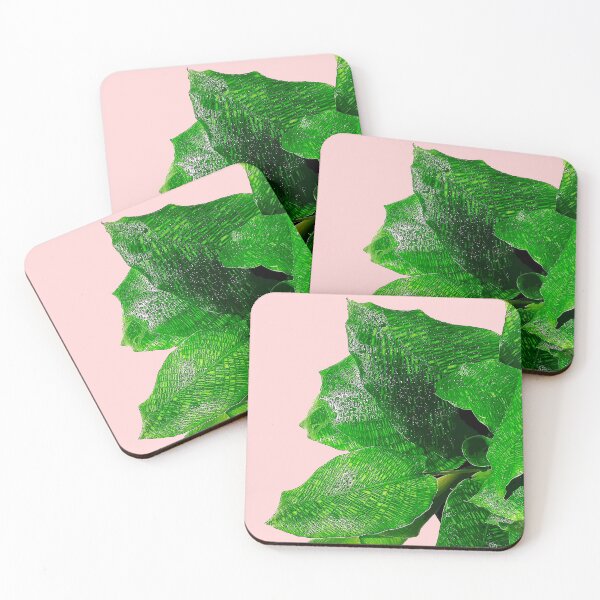 Item preview, Calathea Musaica Vivid Green Plant designed and sold by Elarex.
