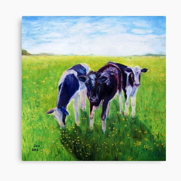 Young Cow Canvas Print