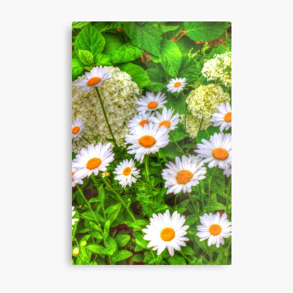 Item preview, Daisy 6 designed and sold by John Velocci.
