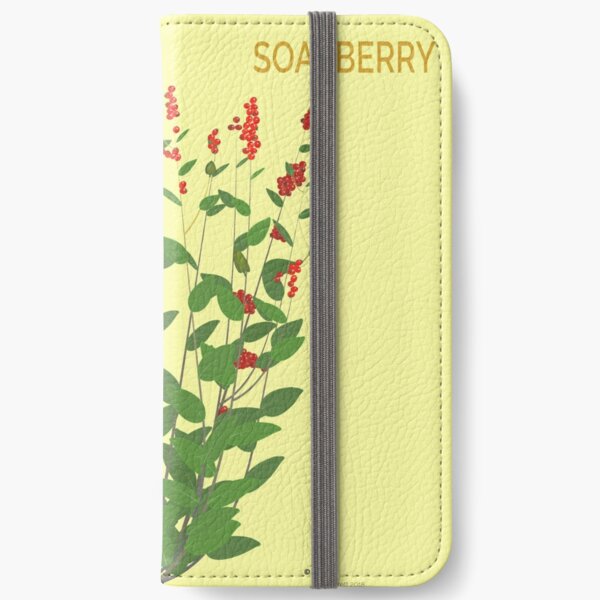 Soapberry iPhone Wallet