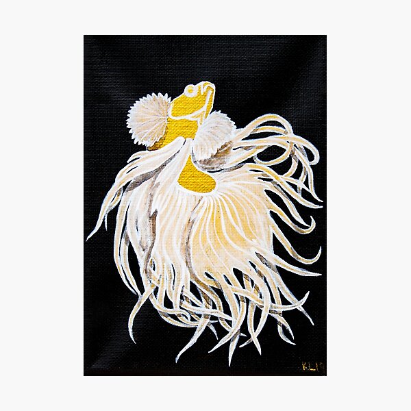 Crown Photographic Print