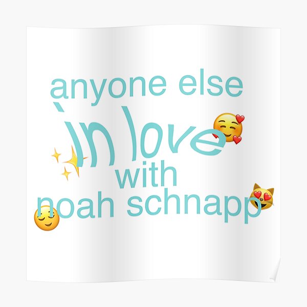 Noah Schnapp Póster