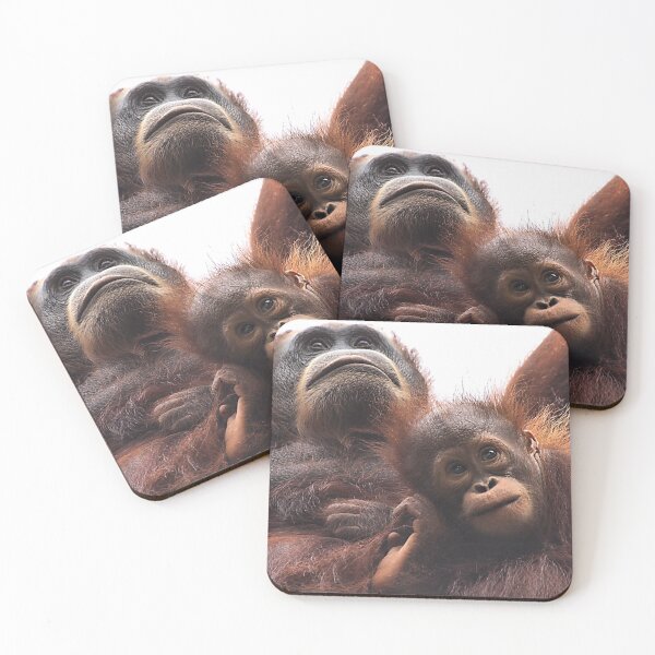 Item preview, Mother & baby Orangutan, Borneo  designed and sold by Carole-Anne.